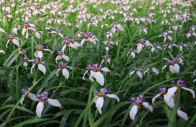 《使命召唤：现代战争3》公开新多人地图里约热内卢